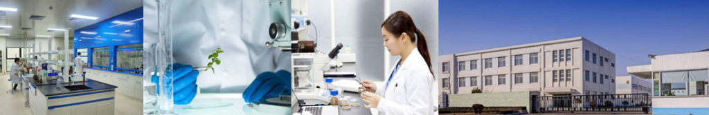 bingoertech about us China Natural Active Ingredients and OEM health products