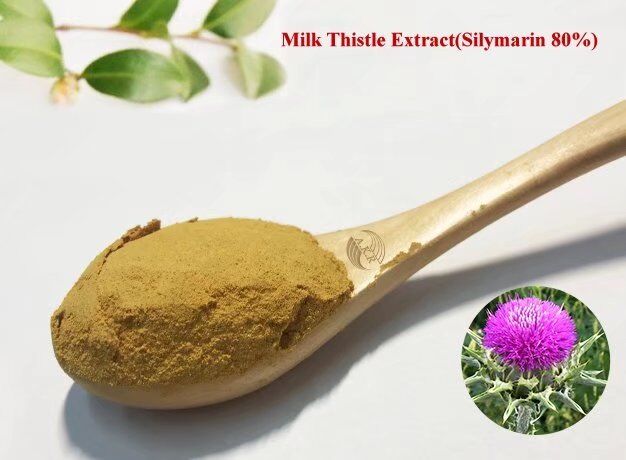 Milk Thistle Extract(Silymarin 80%)