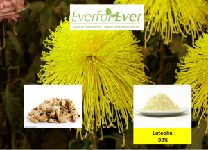 Luteolin