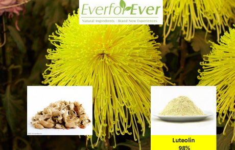 Luteolin