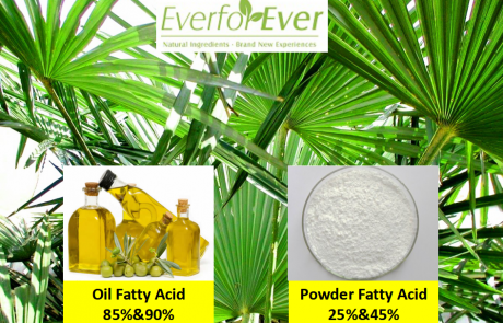 Saw Palmetto Extract