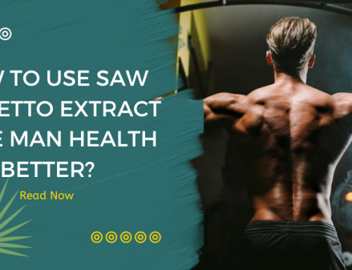 How to use Saw Palmetto Extract make Man Health better?