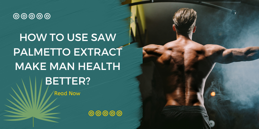 How to use Saw Palmetto Extract make Man Health better?