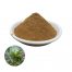 Tribulus Terrestris Extract-EverforeverBio