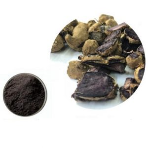 Black Ginger Extract-EverforEverBio