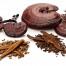 Lingzhi/Reishi powder&extract