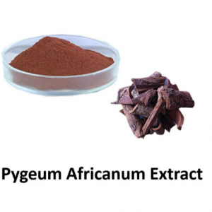 Pygeum Extract-Everforeverbio