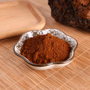 chaga extract powder-Everforeverbio