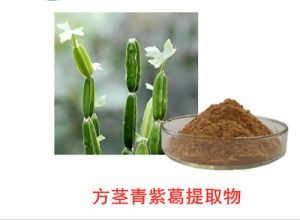 Cissus-Quadrangularis-201-Extract-Powder-200g