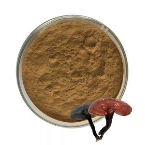 Lingzhi/Reishi powder&extract