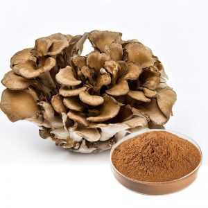 Maitake Mushroom extract1