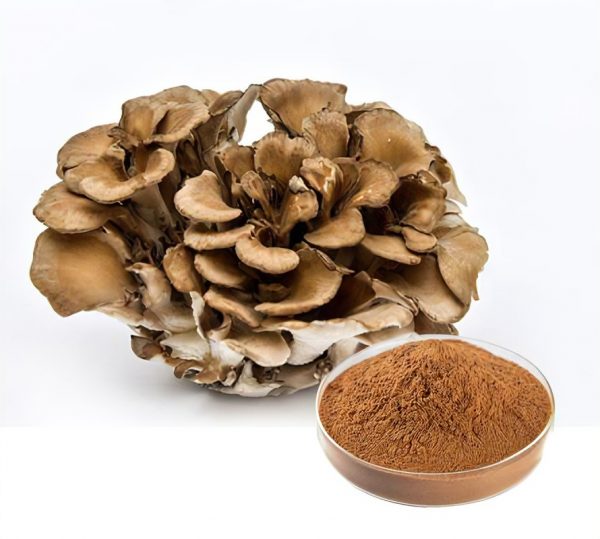 Maitake Mushroom extract1