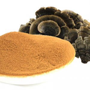 Turkey Tail powder&extract