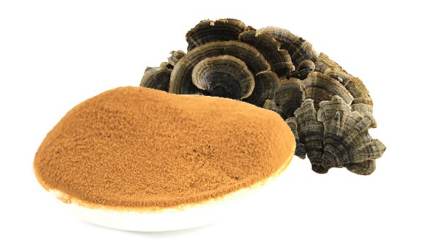 Turkey Tail powder&extract