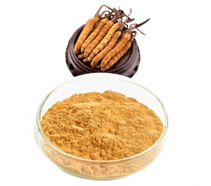 cordyceps-sinensis-extract-powder-EverforeverBio