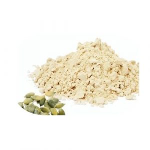 pumpkin seed protein powder-everforeverbio1
