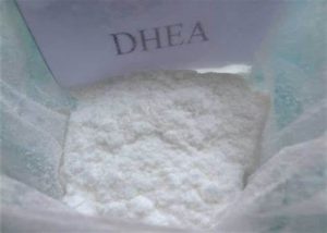 DHEA-Everforeverbio2