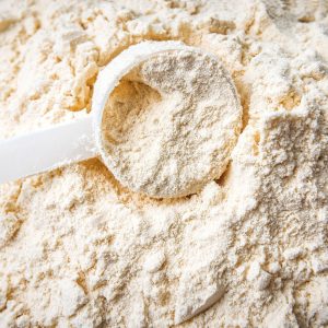 whey protein powder-everforeverbio3