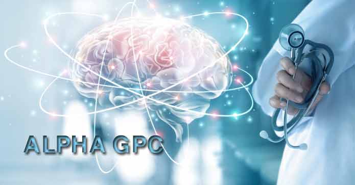 How-Alpha-GPC-Works-in-the-Brain