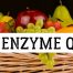coenzyme Q10