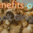 Black Ginger Extract - From Unknown to the First Raw Material for Weight Loss